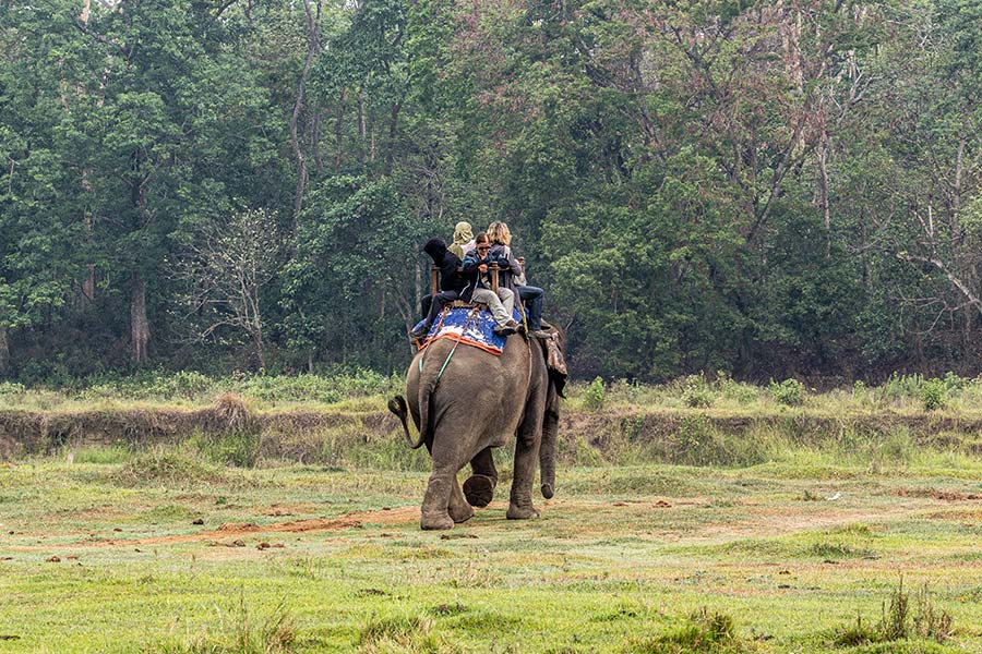 elephant-ride-chitwan
