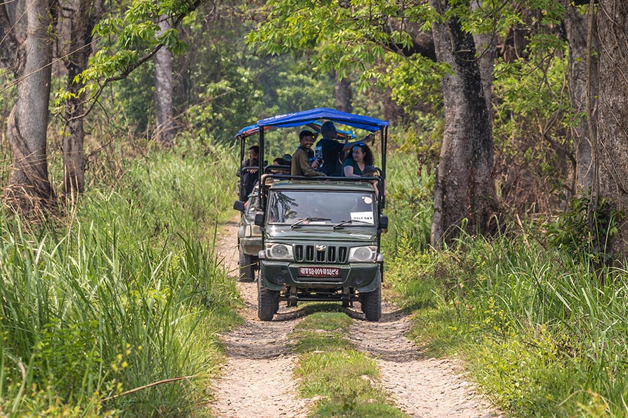 jeep-safari-chitwan