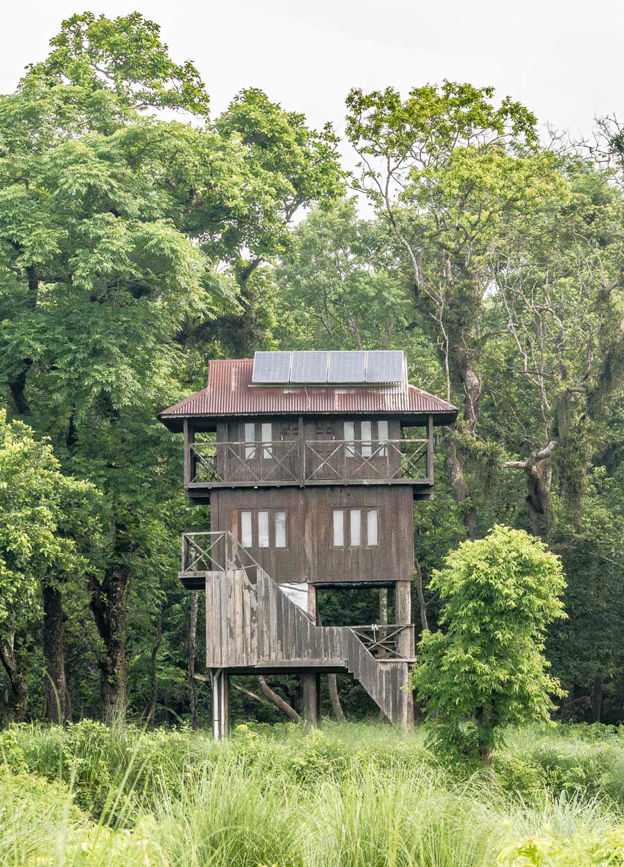 jungle-tower-night-stay