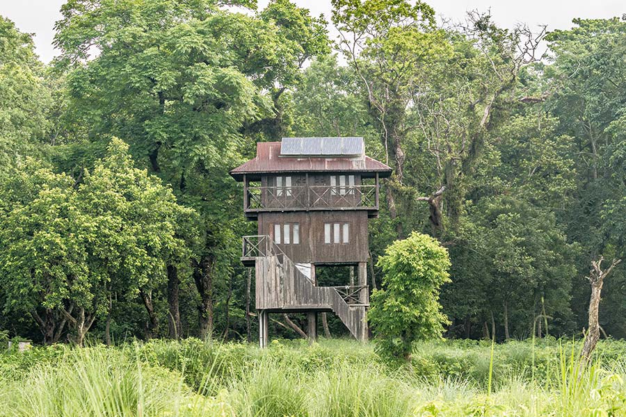 tower-night-stay-chitwan