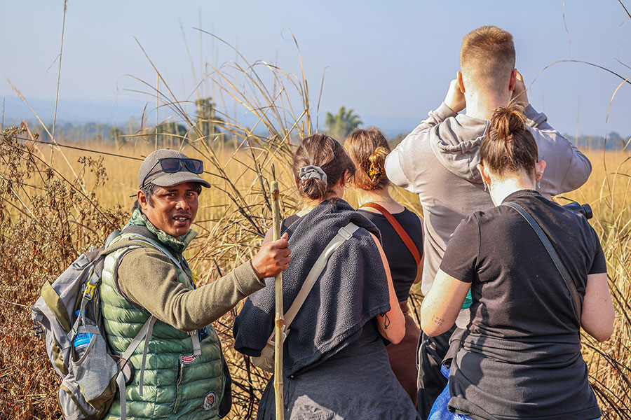 wild-by-nature-dream-catcher